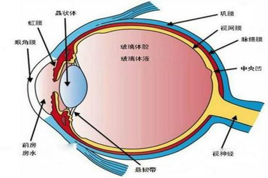 青光眼什么癥狀表現(xiàn) 氫氣分子有機會盡力的表現(xiàn)