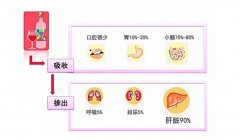 富氫水對(duì)乙醇誘導(dǎo)的胃損傷和肝損傷的保護(hù)作用與機(jī)制