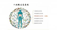 富氫水調(diào)控腸道菌群在化療藥所致病理性神經(jīng)疼痛中的作用研究