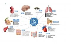 氫氣改善膿毒癥休克綿羊的微循環(huán)、血流動力學(xué)和生存率