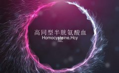 DJ-1在氫氣改善高同型半胱氨酸血癥中的作用及機(jī)制研究