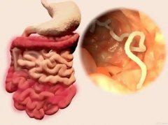 氫分子在預(yù)防腸粘連中的療效分析