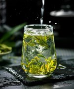 氫水泡茶：解鎖茶韻新境界