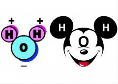 探索水分子的奇妙世界：氫鍵的日常魔法