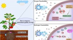 氫氣納米氣泡：農(nóng)業(yè)新革命，讓果蔬更健康！