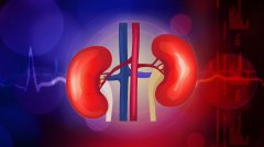 富氫水改善腎結(jié)石患者血脂與腎功能的臨床研究