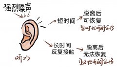 氫氣對(duì)噪聲性聾的有效防護(hù)時(shí)間及機(jī)制研究