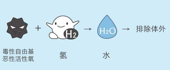 氫水