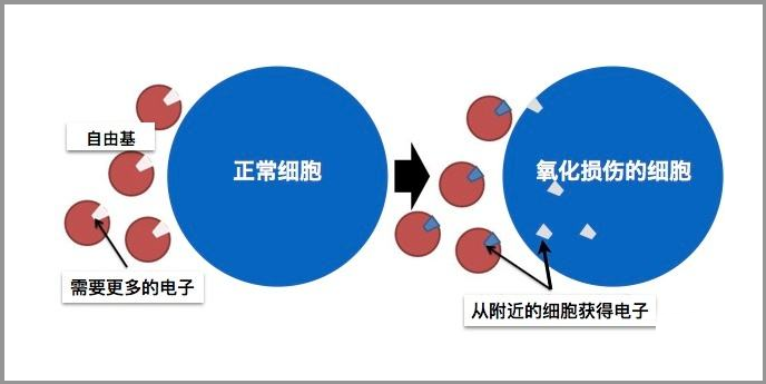 氫水