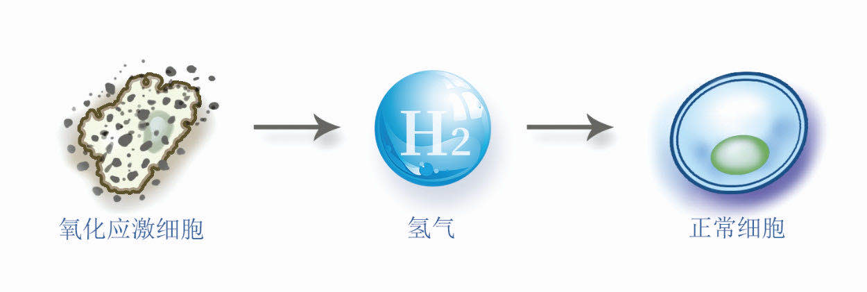 氫分子
