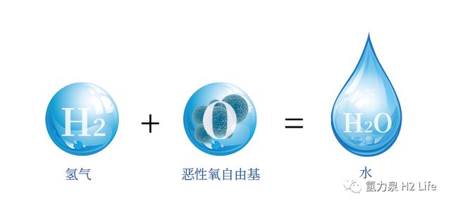富氫水杯就要選氫氧分離的