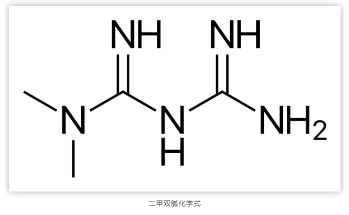 “神藥”二甲雙胍登上Nature主刊，二甲雙胍減肥之謎終于搞清楚了