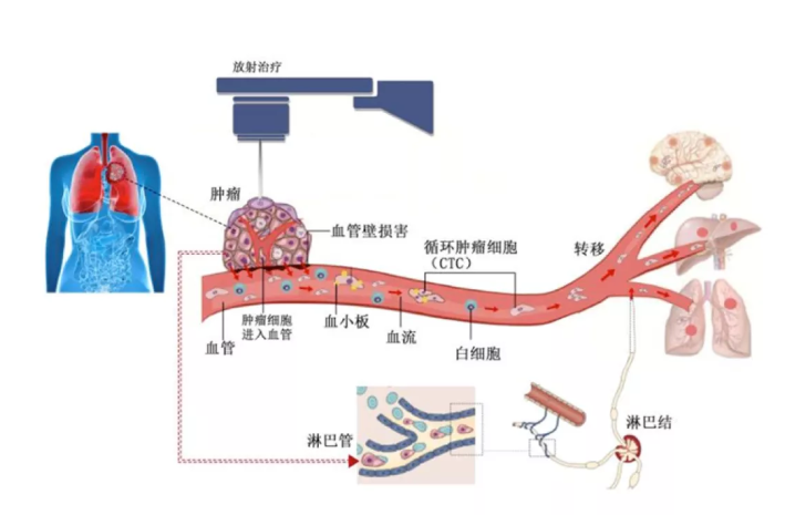 徐克成：癌癥治療的反思與探索