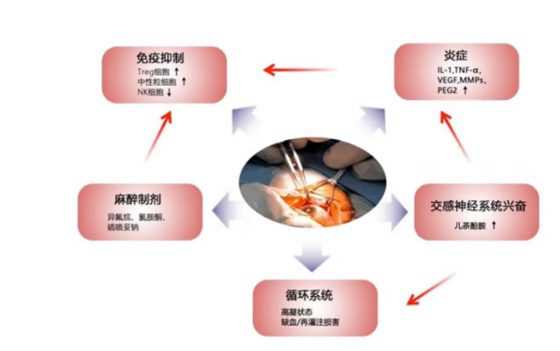 徐克成：癌癥改善的反思與探索