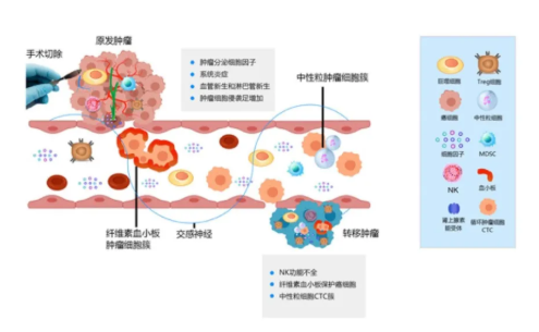 徐克成：癌癥改善的反思與探索