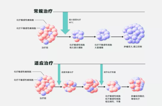 徐克成：癌癥改善的反思與探索
