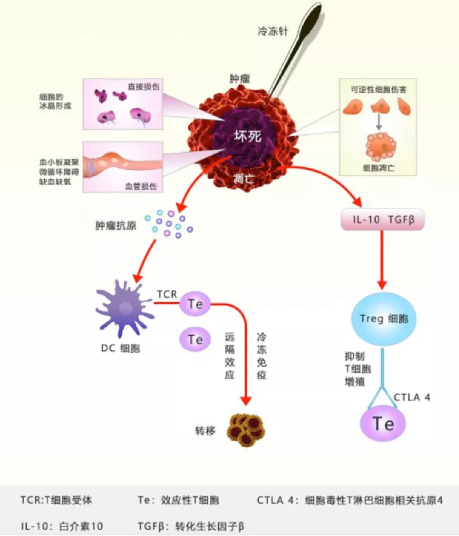 徐克成：癌癥改善的反思與探索