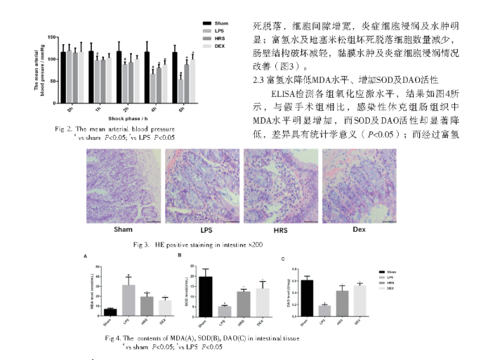 富氫水對(duì)感染性休克大鼠腸損傷