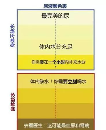 多喝水，喝氫水才是高手！