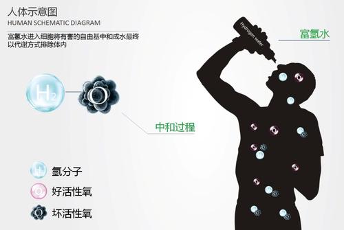 喝氫水為什么會口渴？