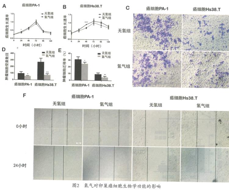 氫氣抑制卵巢癌的實(shí)驗(yàn)研究，氫氣能抑制腫瘤細(xì)胞的侵襲和遷移
