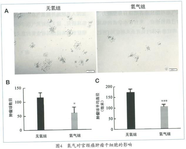 氫氣抑制卵巢癌的實(shí)驗(yàn)研究，氫氣能抑制腫瘤細(xì)胞的侵襲和遷移