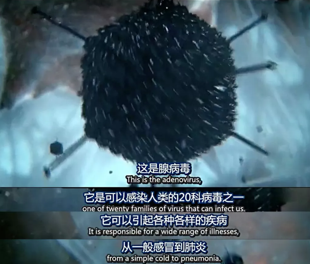 關(guān)于病毒，需要了解的三層知識(shí)