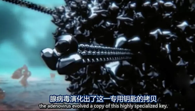 關(guān)于病毒，需要了解的三層知識(shí)