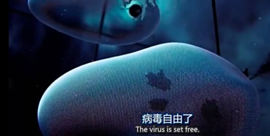 關(guān)于病毒，需要了解的三層知識(shí)