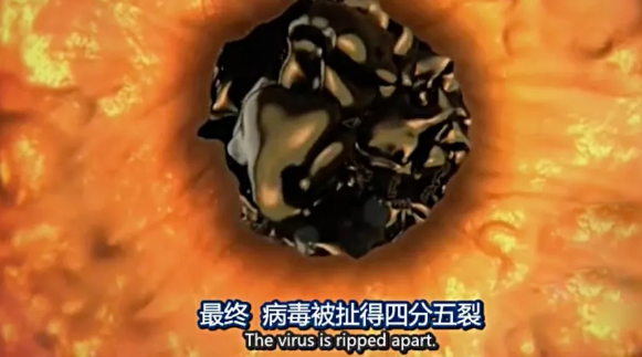 關(guān)于病毒，需要了解的三層知識(shí)