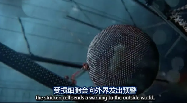 關(guān)于病毒，需要了解的三層知識(shí)