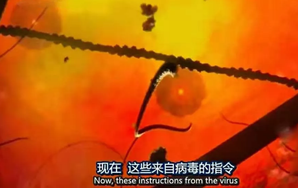 關(guān)于病毒，需要了解的三層知識(shí)