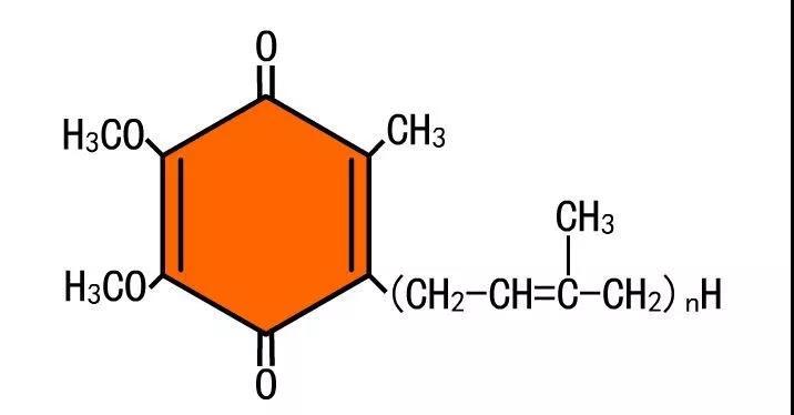 復合物I極化分解氫氣的可能機制