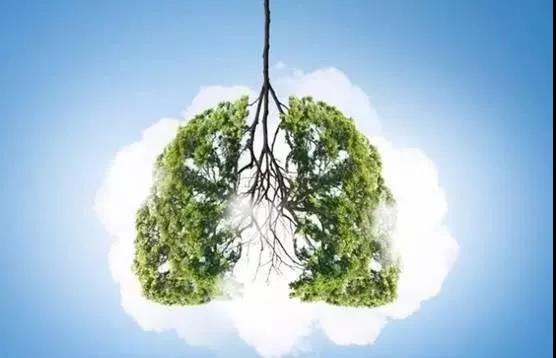 氫案例|肺癌患者家屬的陪護日記：吸氫是應對預后的有效手段