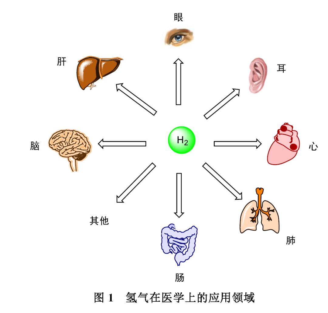 氫氣身材小，氫氣能量大！