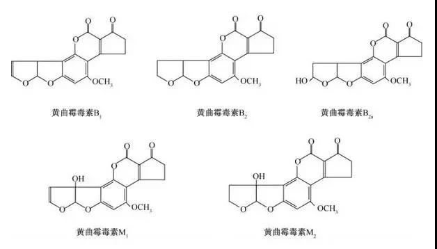 最毒致癌物，看氫水怎么收拾它！