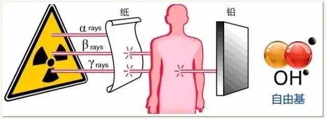 氫分子醫(yī)學(xué)的改善原理與底層邏輯【轉(zhuǎn)】
