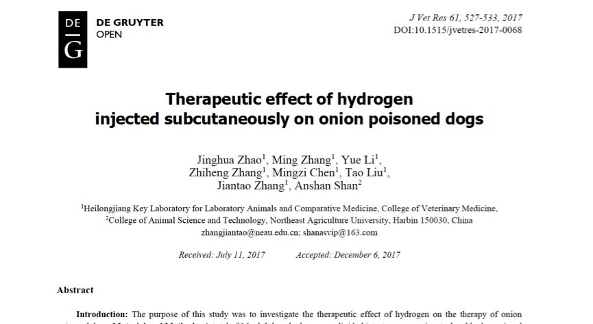 汪星人吃洋蔥會(huì)中毒，氫氣能幫忙解毒