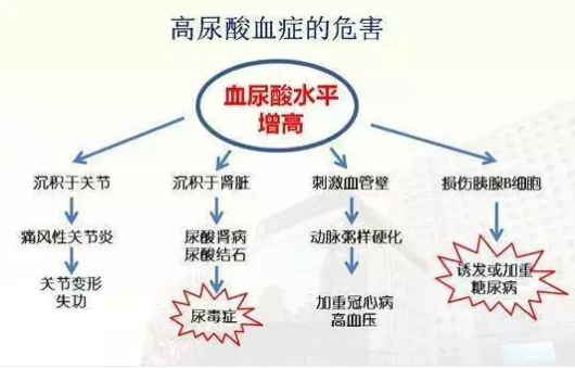 血糖、尿酸、血脂一網(wǎng)打盡，氫水體檢報(bào)告
