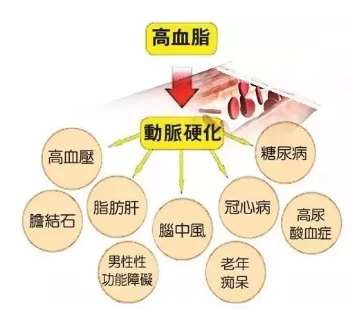 氫氣和高血脂