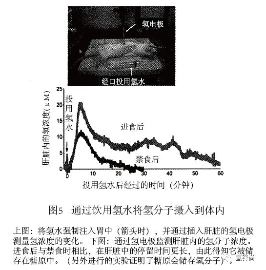 氫醫(yī)學(xué)從基礎(chǔ)到臨床