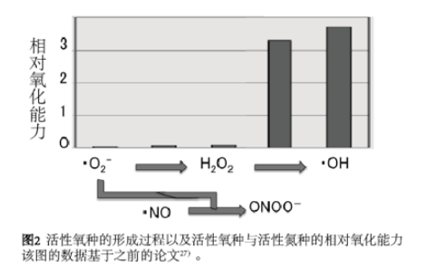 太田教授談氫醫(yī)學(xué)發(fā)現(xiàn)歷史（1）