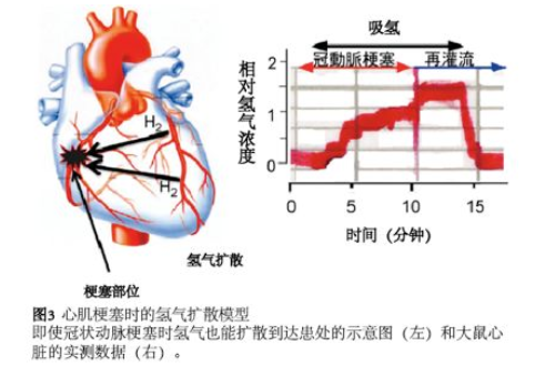 太田教授談氫醫(yī)學(xué)發(fā)現(xiàn)歷史（1）