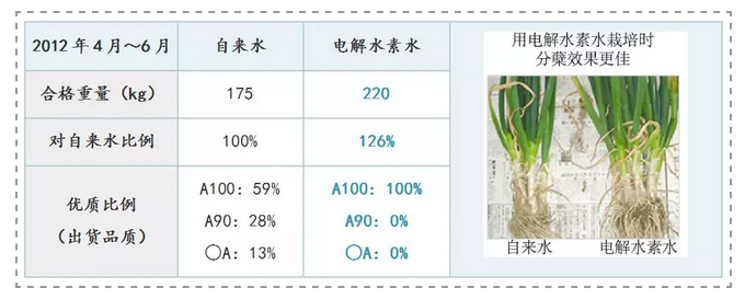 如何用電解水讓農(nóng)產(chǎn)品提質(zhì)增產(chǎn)？日本是這樣做的