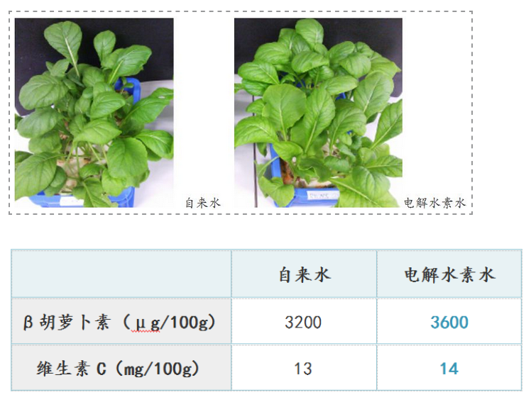 如何用電解水讓農(nóng)產(chǎn)品提質(zhì)增產(chǎn)？日本是這樣做的