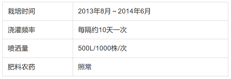 如何用電解水讓農(nóng)產(chǎn)品提質(zhì)增產(chǎn)？日本是這樣做的