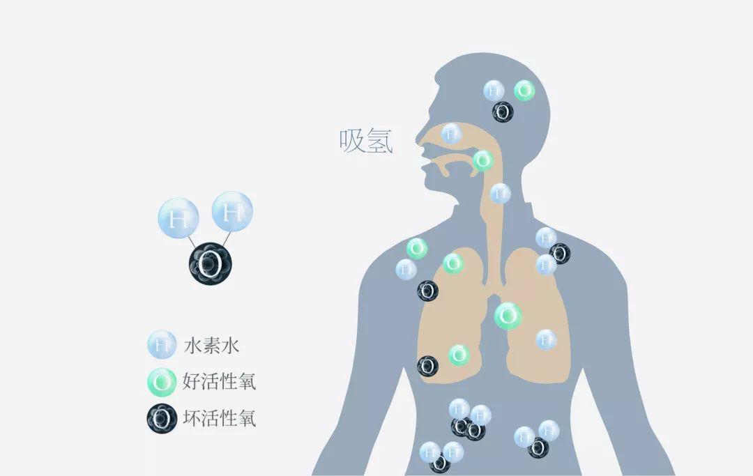 吸氫機(jī)到底有沒有效果？吸氫是不是騙局呢？