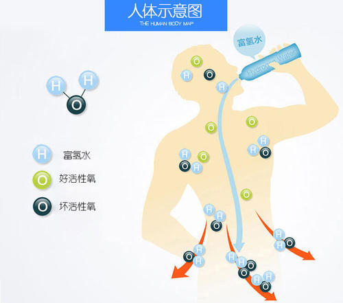 日本人喝富氫水嗎？為什么身邊的朋友都在喝？