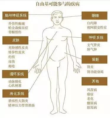 自由基在疾病發(fā)生中的重要作用