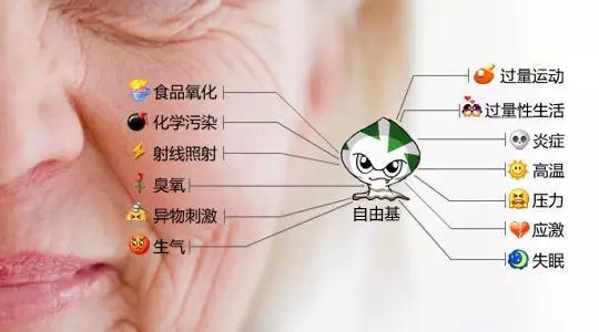 分子氫為什么具有抗衰老作用？